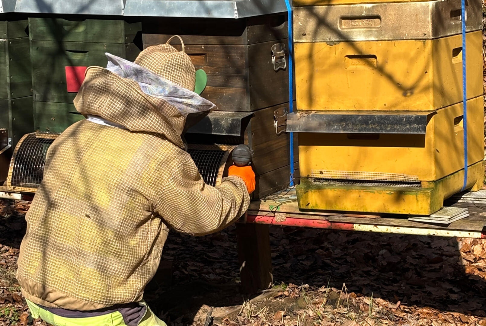Schutz für unsere Bienen